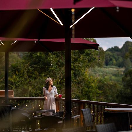 Kondalilla Eco Resort Montville Zewnętrze zdjęcie