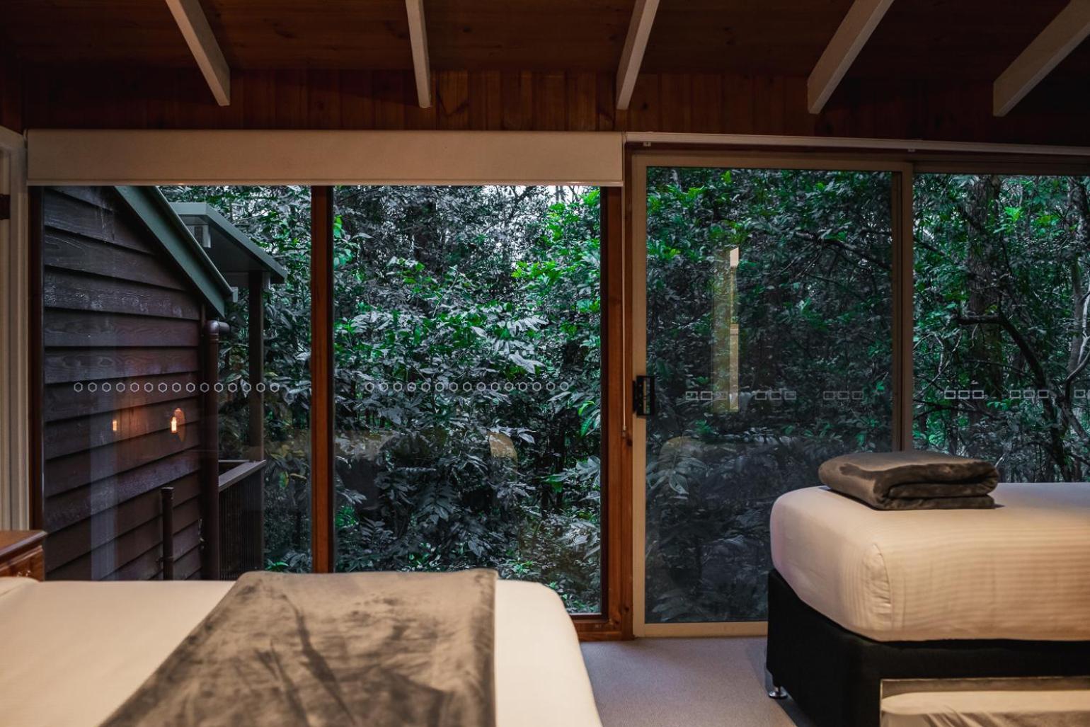 Kondalilla Eco Resort Montville Zewnętrze zdjęcie