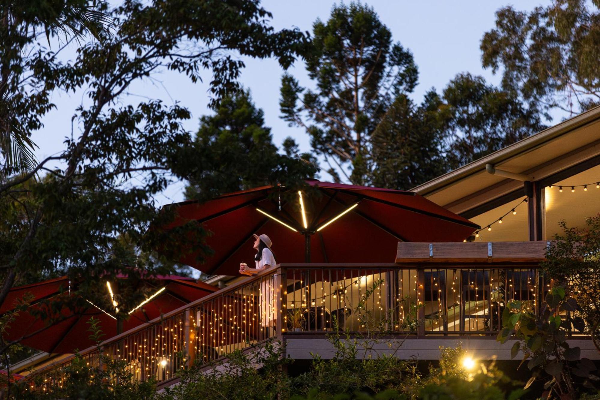 Kondalilla Eco Resort Montville Zewnętrze zdjęcie