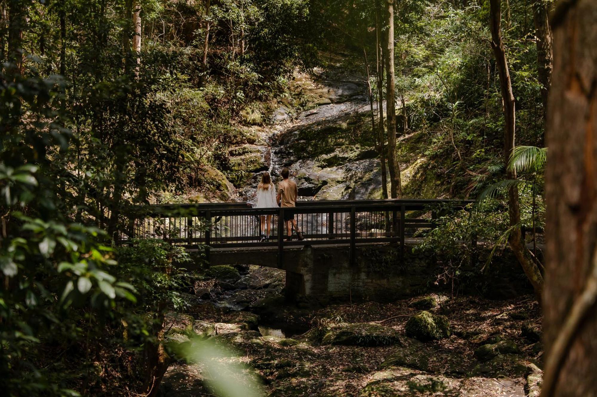 Kondalilla Eco Resort Montville Zewnętrze zdjęcie