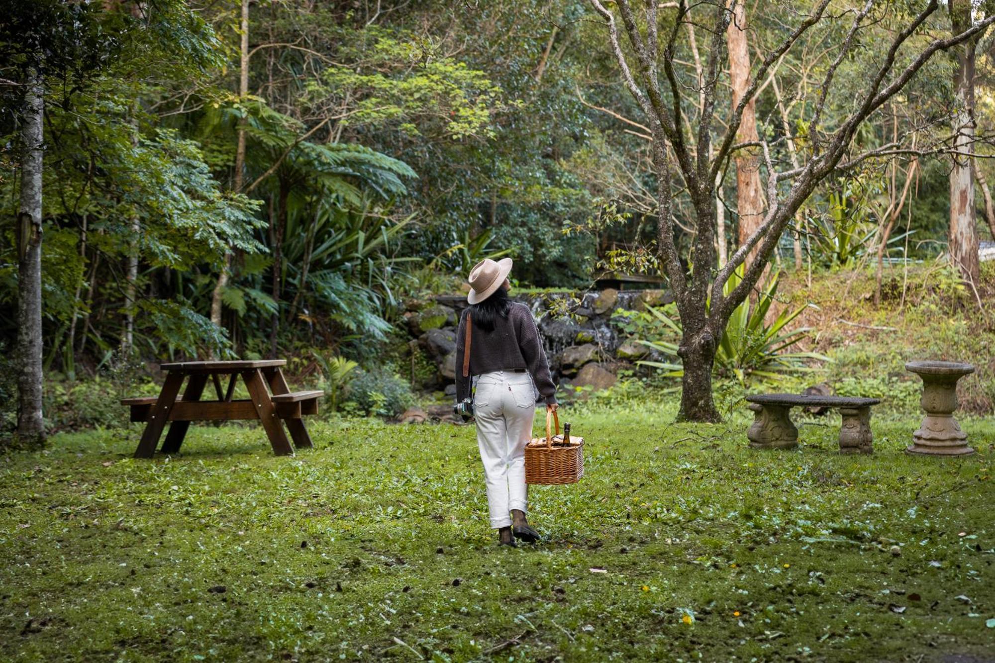 Kondalilla Eco Resort Montville Zewnętrze zdjęcie